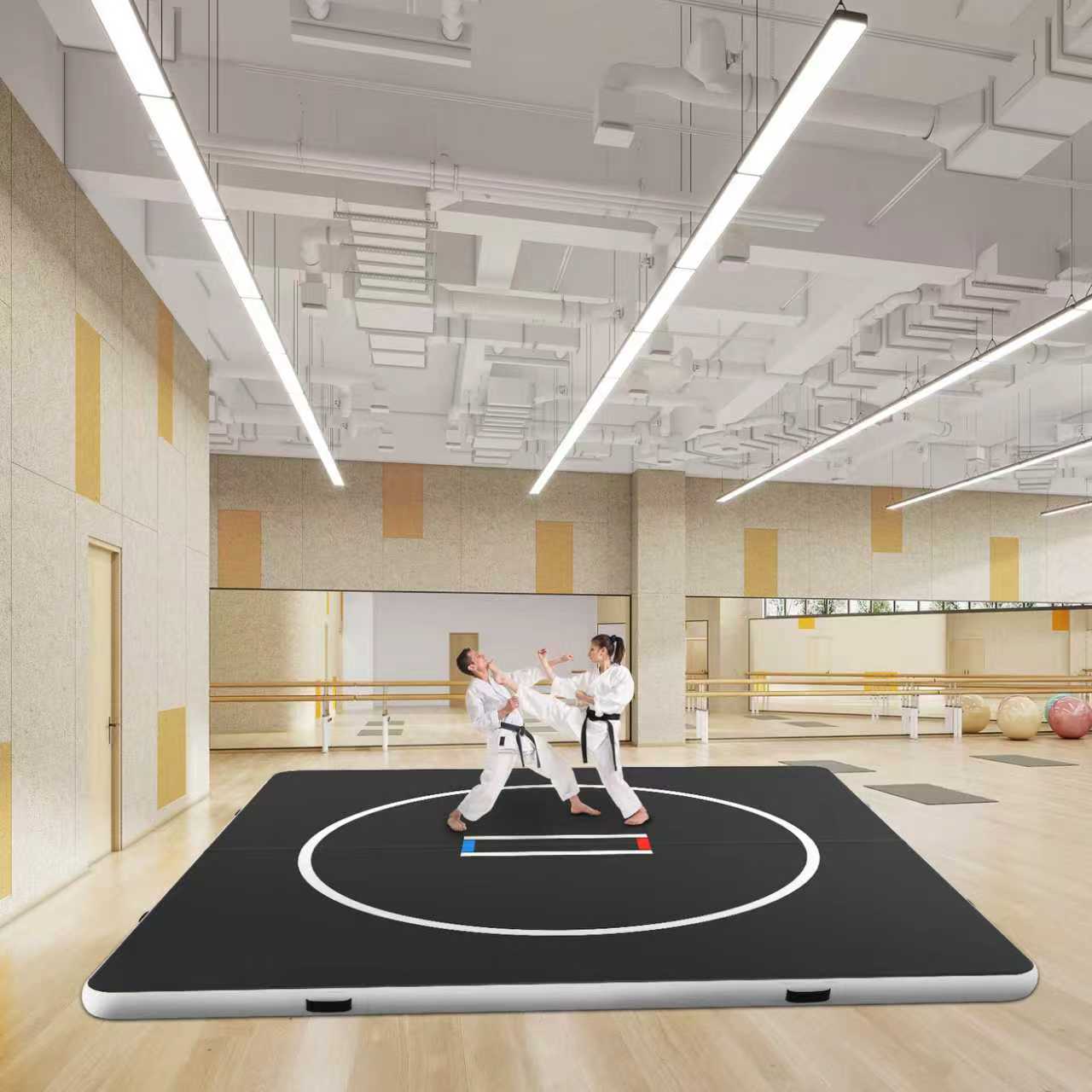 Custom Size 3x3m Commercial Gr - đánh giá và giá Home Gym Mma