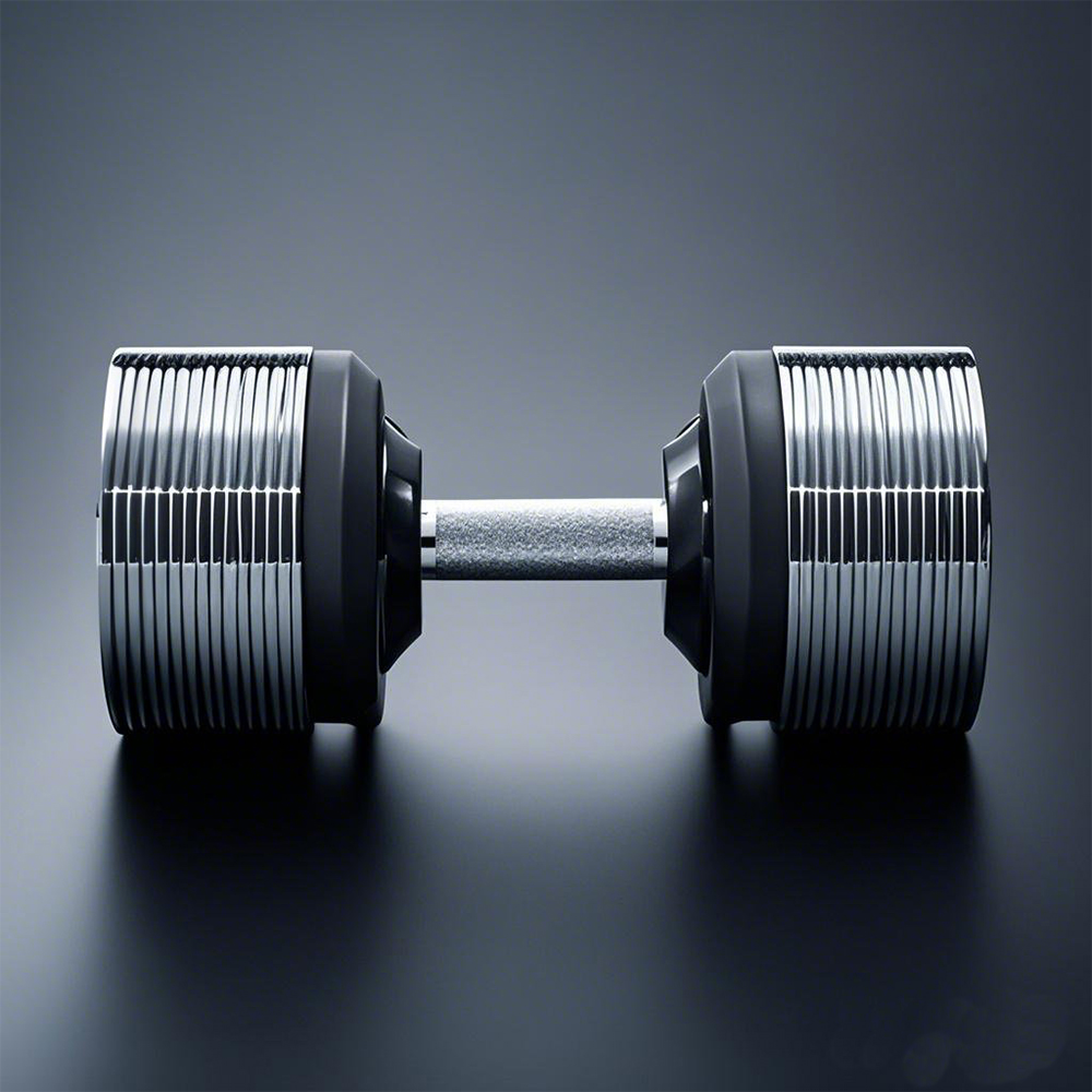 40kg Adjustable Increments Dum - đánh giá và giá Home Gym Dumbbell Set