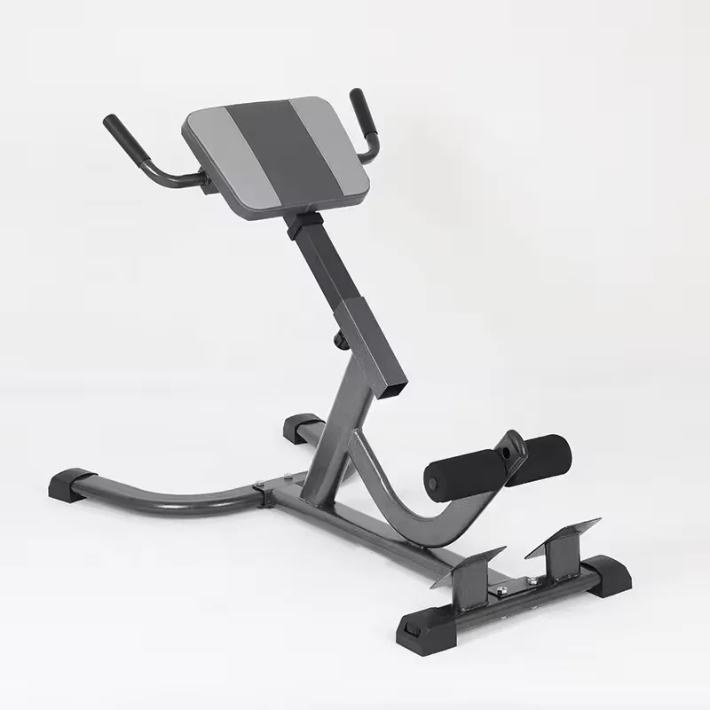 2026 Steel Roman Chair Adjusta - đánh giá và giá Home Gym Hamstring Exercises