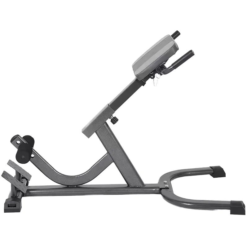 2026 Steel Roman Chair Adjusta - đánh giá và giá Home Gym Hamstring Exercises