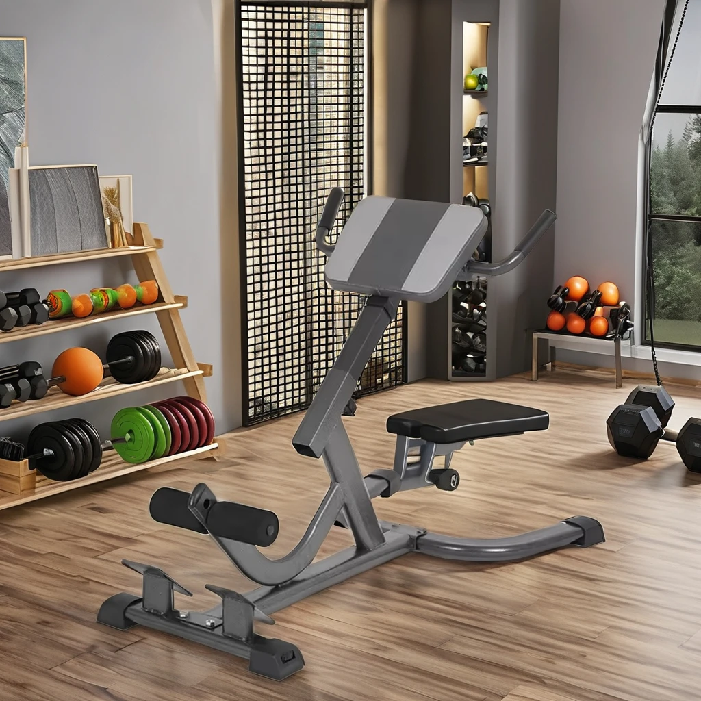 2026 Steel Roman Chair Adjusta - đánh giá và giá Home Gym Hamstring Exercises