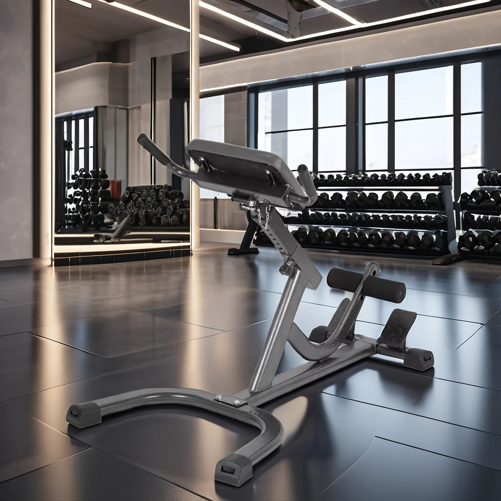 2026 Steel Roman Chair Adjusta - đánh giá và giá Home Gym Hamstring Exercises