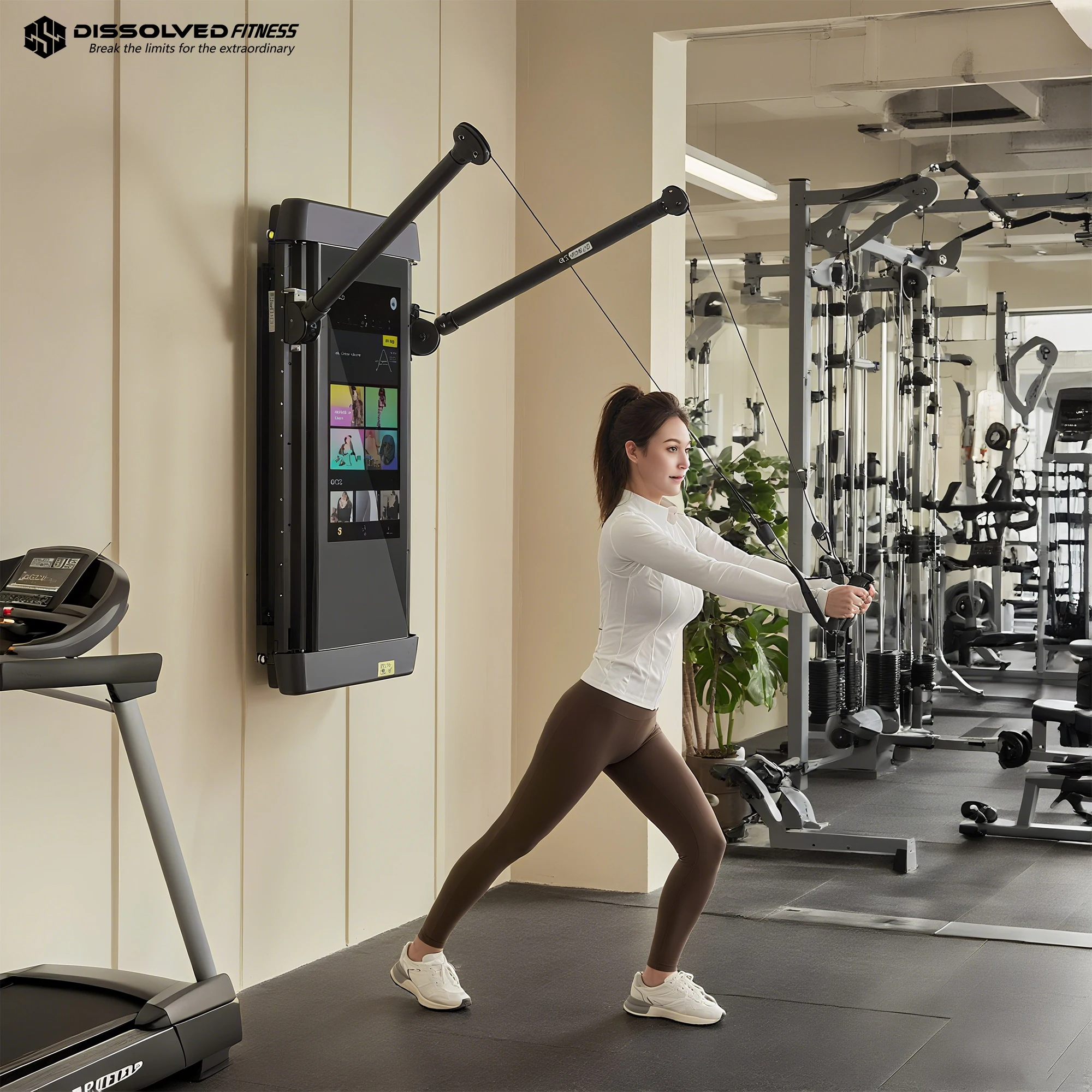 Smart AI LCD Training Mirror W - đánh giá và giá Home Gym Wall