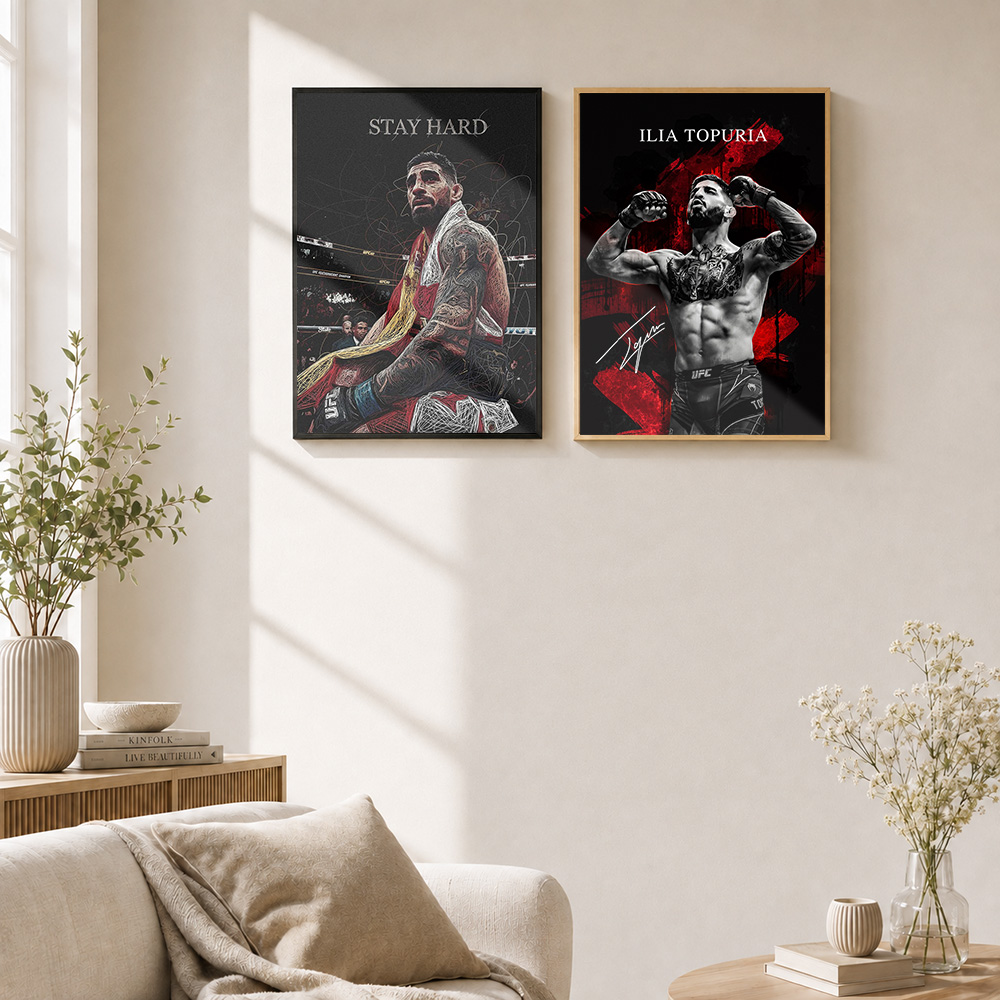 Ilia Topuria Framed Metal Post - đánh giá và giá Home Gym Mma