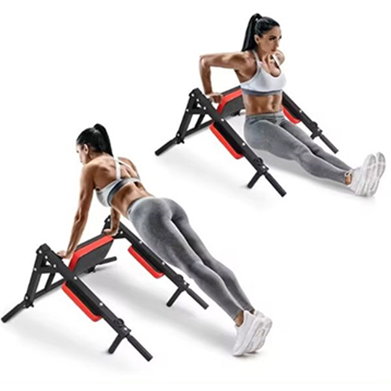 Heavy Duty Wall Mounted Parall - đánh giá và giá Home Gym Pull Up Bar