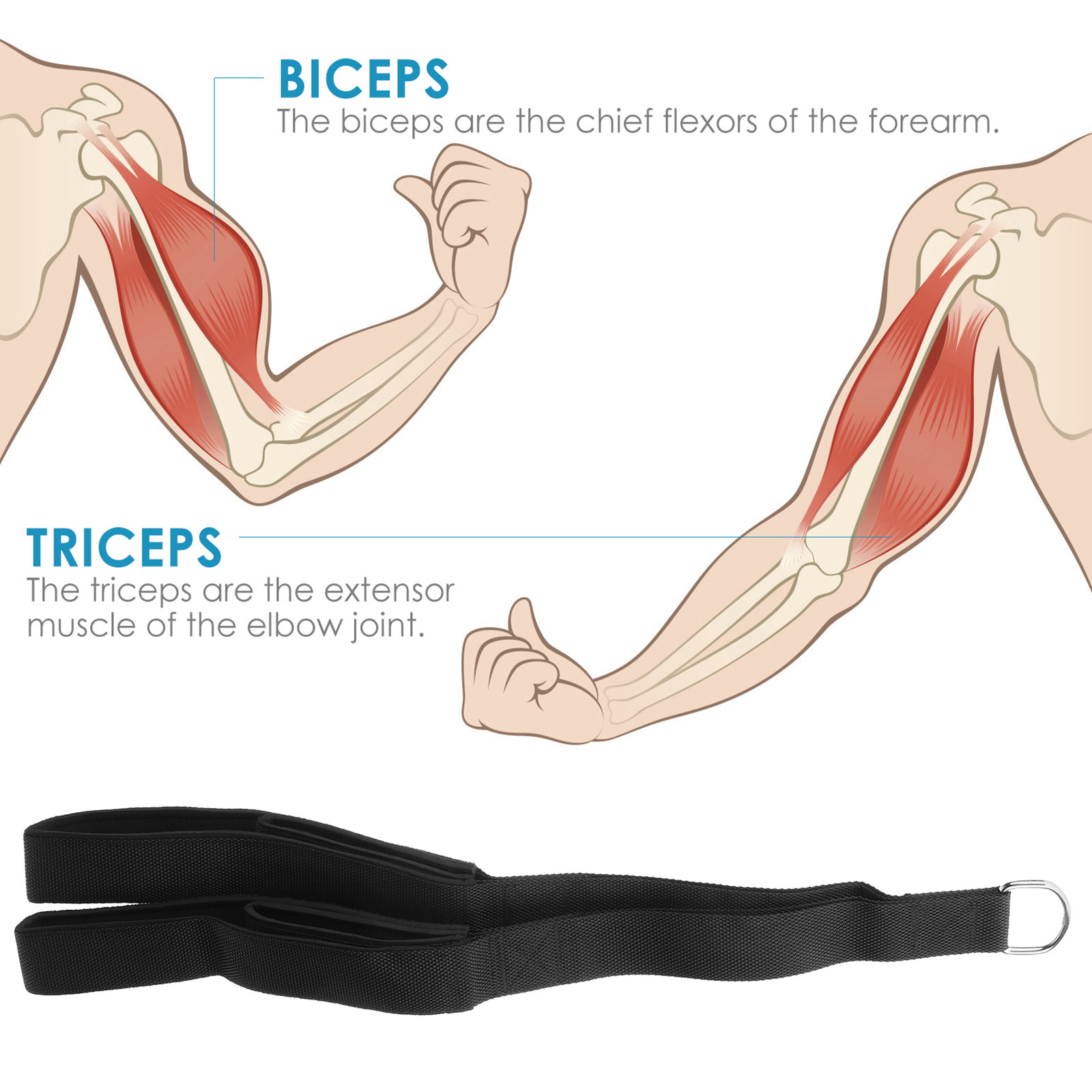 Dual Grip Tricep Pull Rope Hea - đánh giá và giá Home Gym Hammer Strength