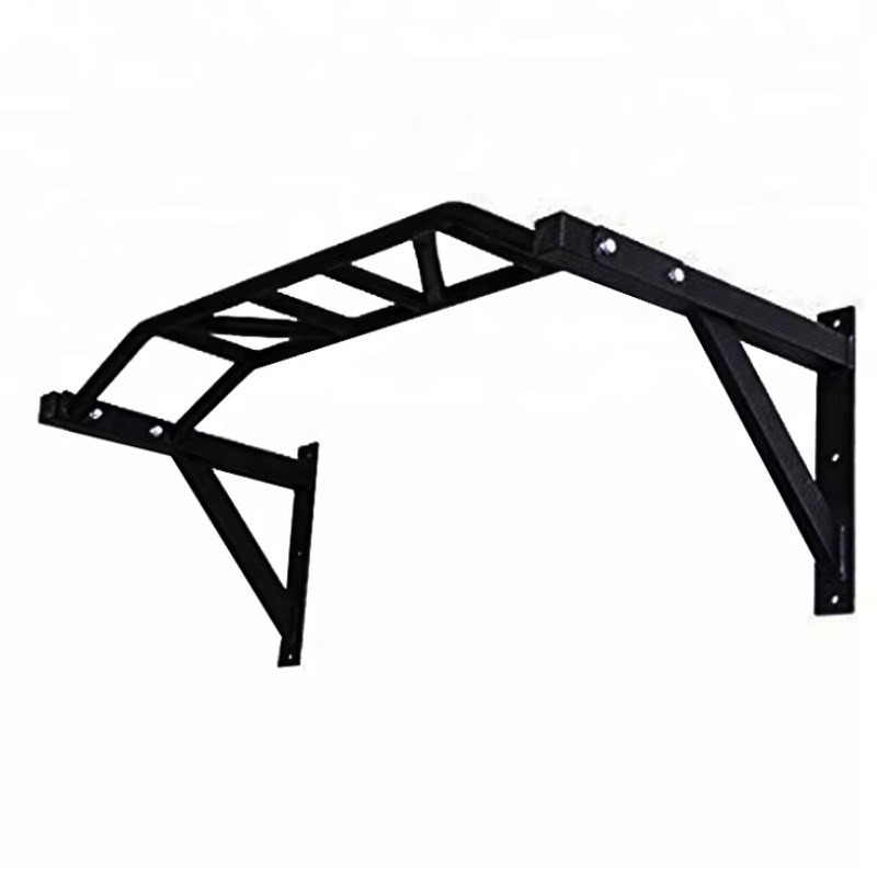 Wall Mounted Pull up Bar Multi - đánh giá và giá Home Gym Wall
