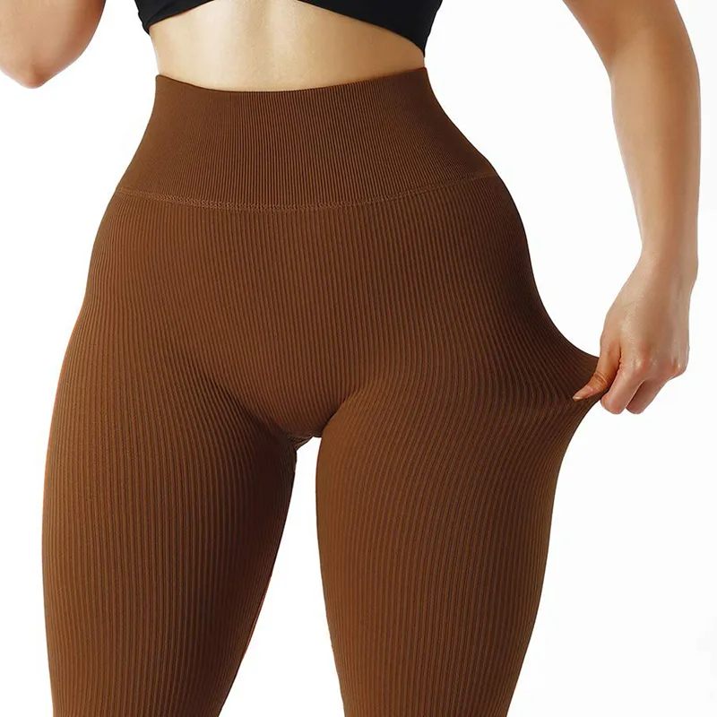 Seamless High Waist Gym Leggin - đánh giá và giá Home Gym Leg Press