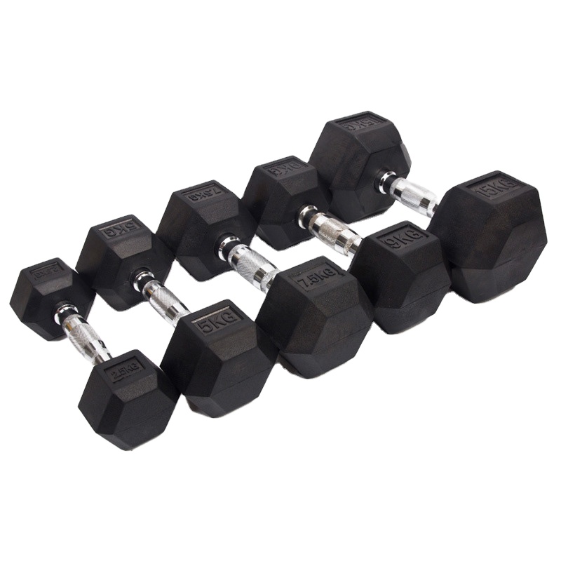 High Quality Home Gym Hexagon  - đánh giá và giá Home Gym Dumbbell Set